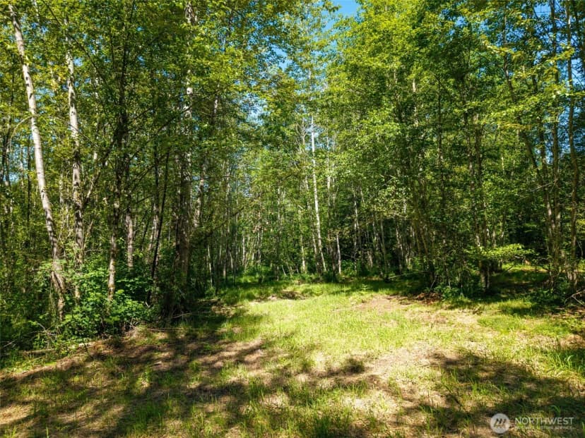 Property photo for 0 236th Avenue Ne, Woodinville photo 11