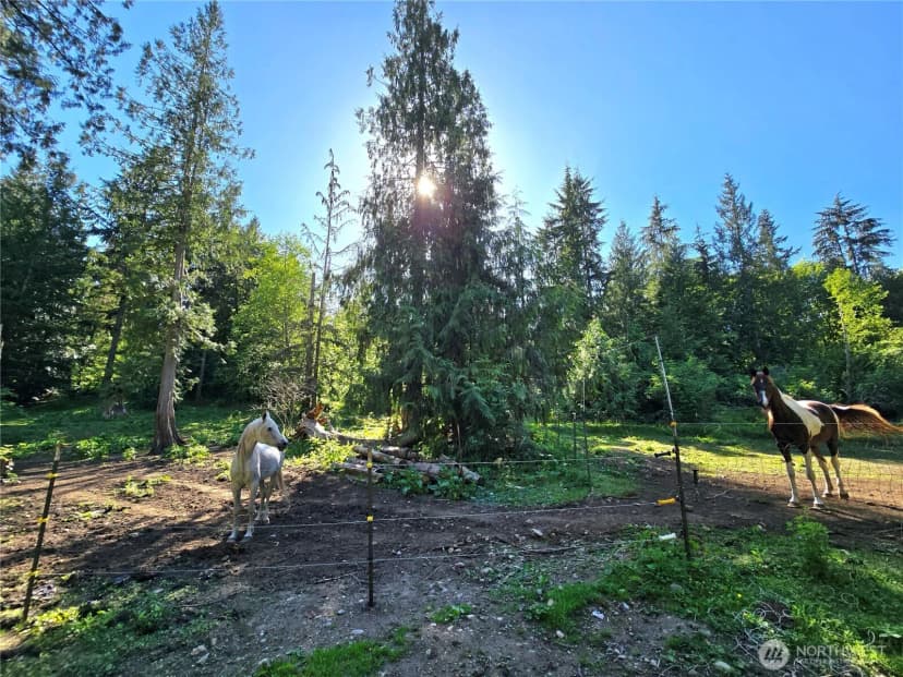 Property photo for 16827 Ne 24th Place, Snohomish photo 7