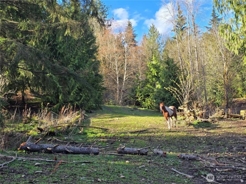 Property photo for 16827 Ne 24th Place, Snohomish photo 14