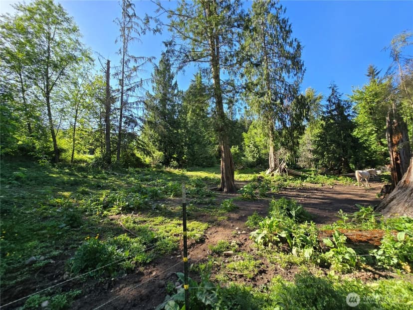 Property photo for 16827 Ne 24th Place, Snohomish photo 28