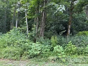 Property photo for 72 Saratoga Drive, Hat Island