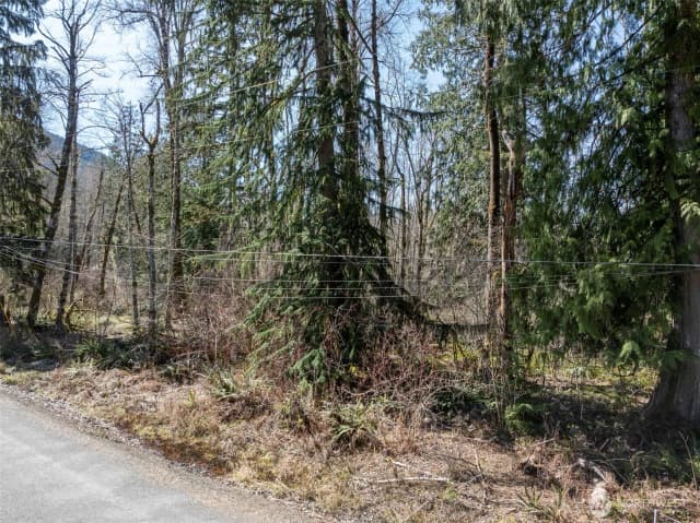 Property photo for 0 Xx Fairway Drive, Ashford photo 3