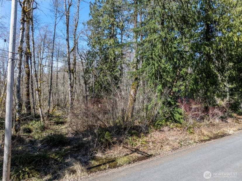 Property photo for 0 Xx Fairway Drive, Ashford photo 4