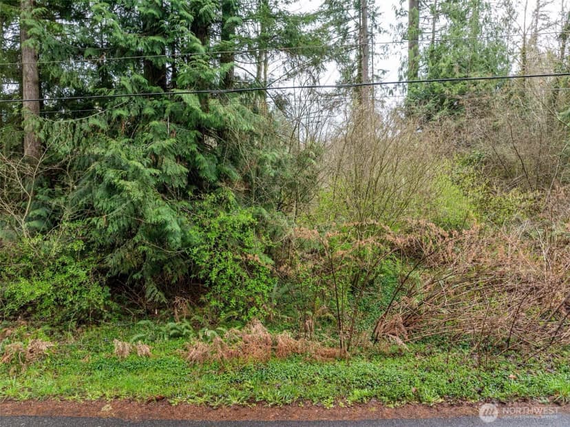 Property photo for 32617 Benbow Drive E, Graham photo 5