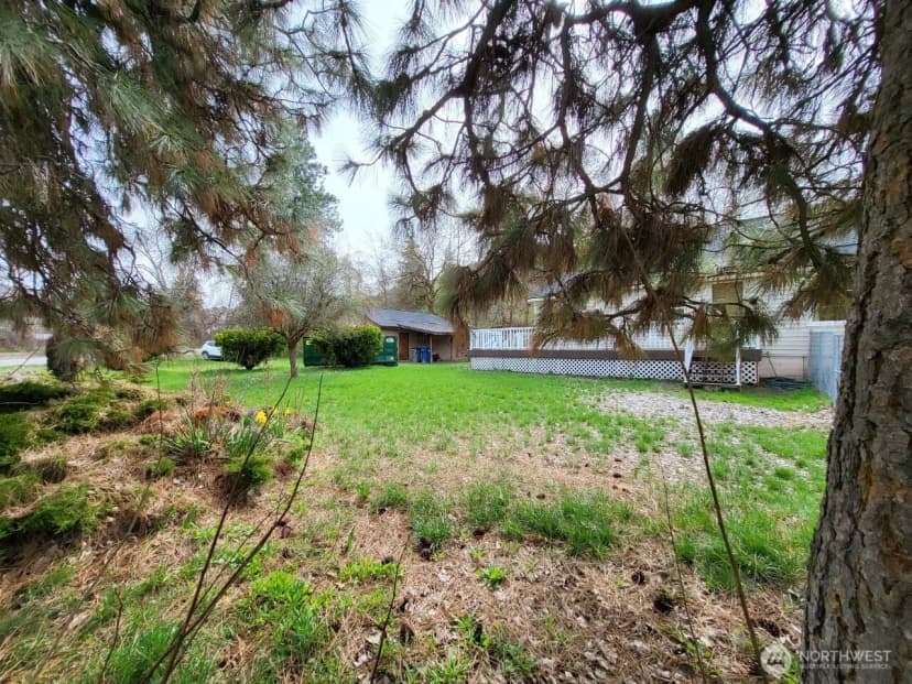 Property photo for 334 Chapel Street, Cashmere photo 3