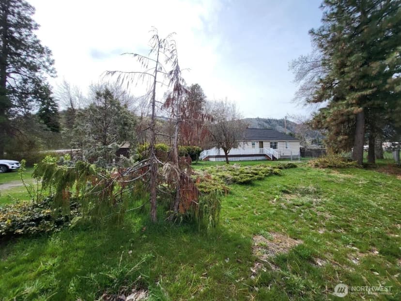 Property photo for 334 Chapel Street, Cashmere photo 36