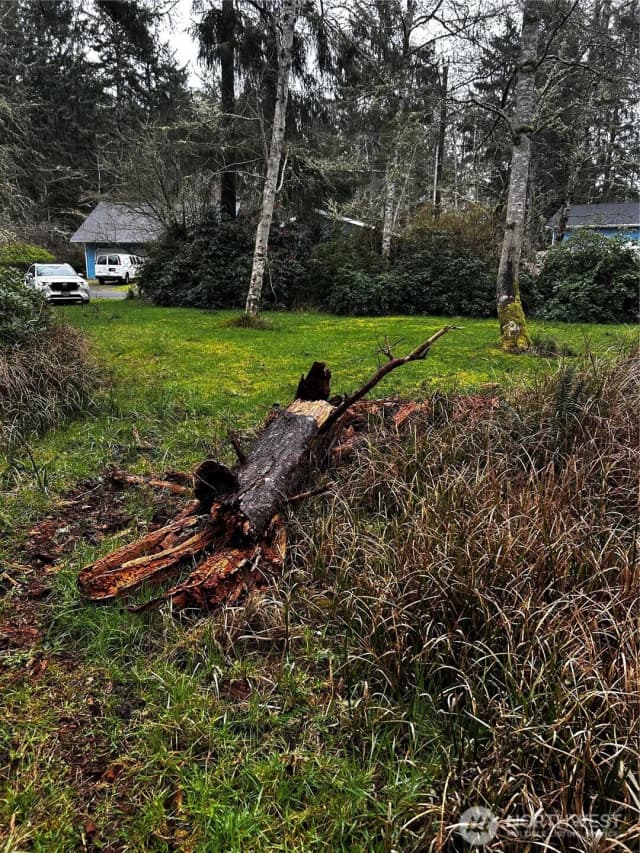 Property photo for 379 Eridani Loop Se, Ocean Shores photo 4