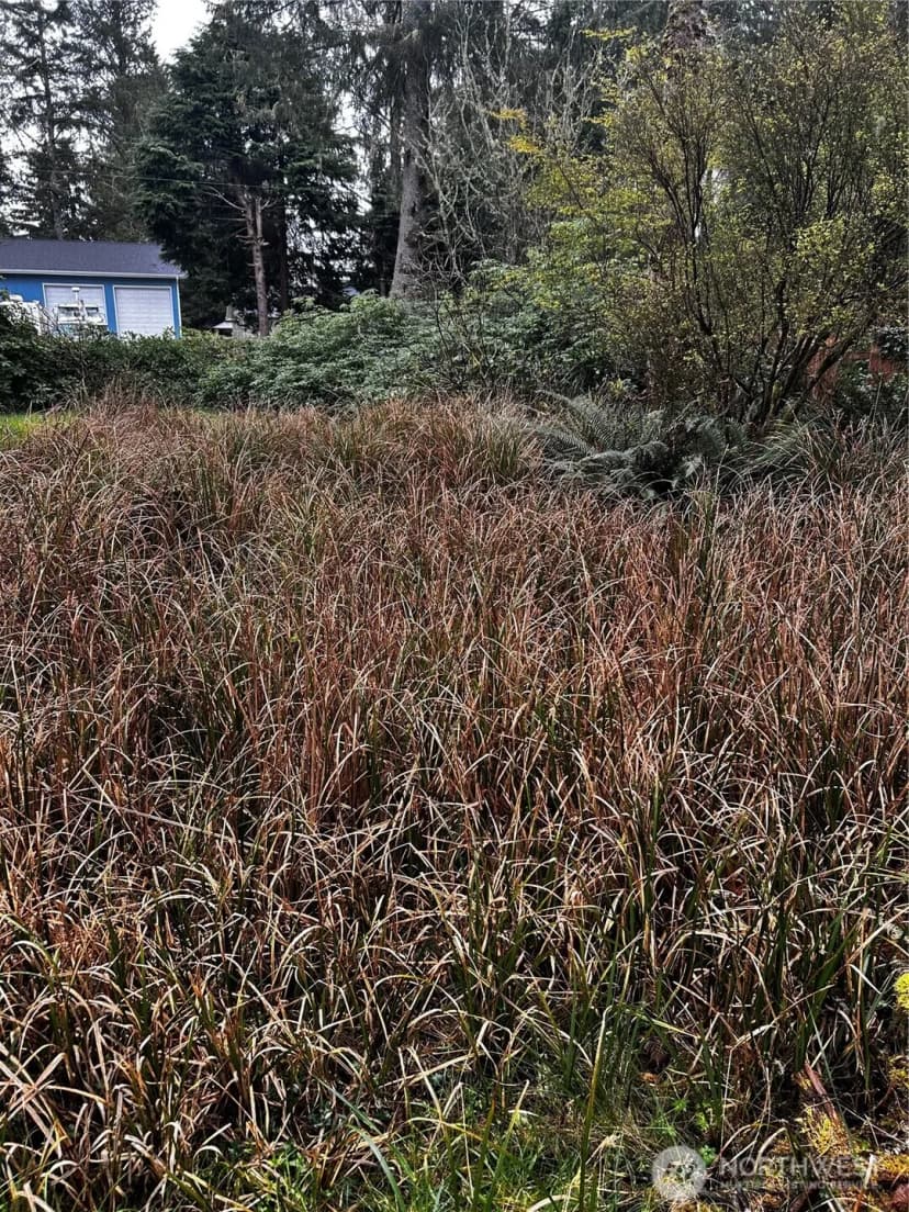 Property photo for 379 Eridani Loop Se, Ocean Shores photo 2