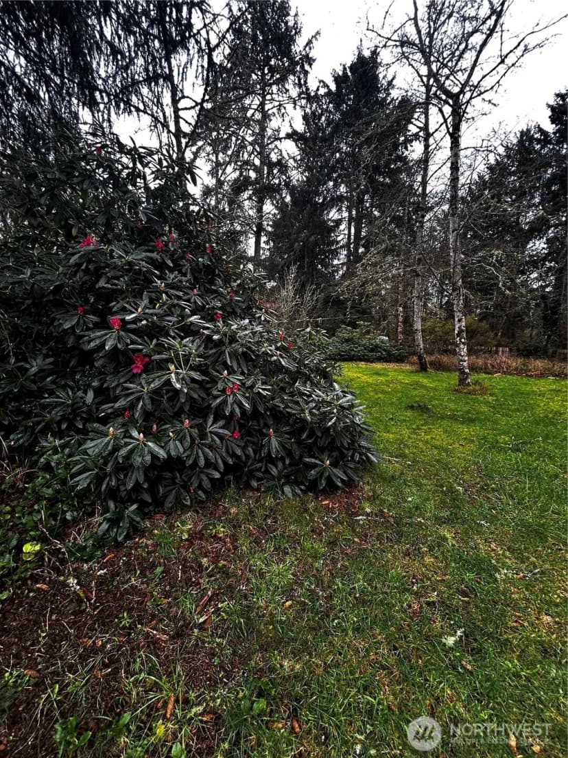 Property photo for 379 Eridani Loop Se, Ocean Shores photo 5
