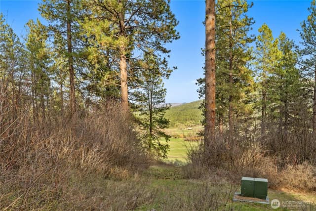 Property photo for 250 Fir Tree Drive, Cle Elum photo 2
