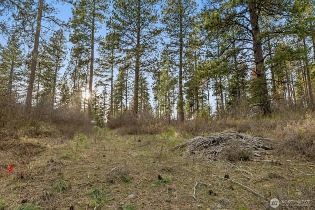 Property photo for 250 Fir Tree Drive, Cle Elum photo 4