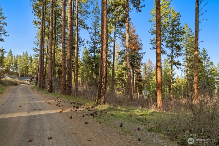 Property photo for 250 Fir Tree Drive, Cle Elum photo 6
