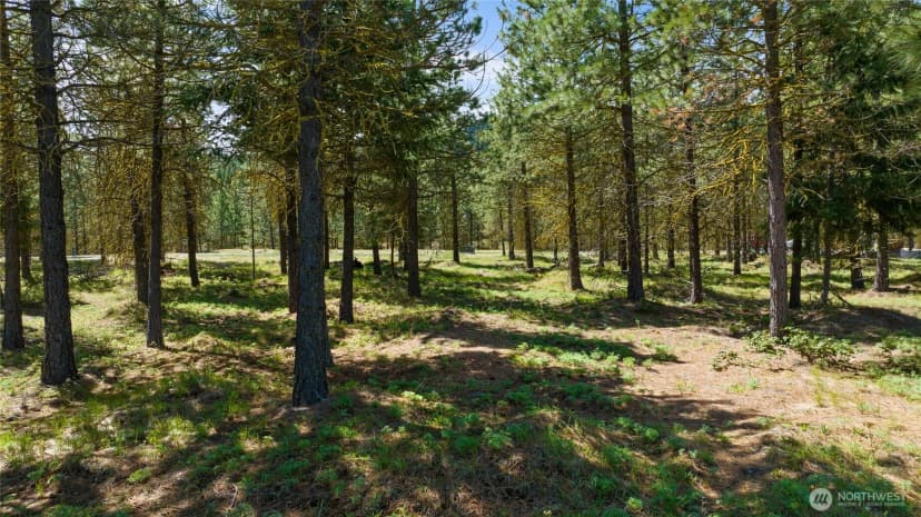 Property photo for 45 Gold Leaf Lane, Cle Elum photo 19