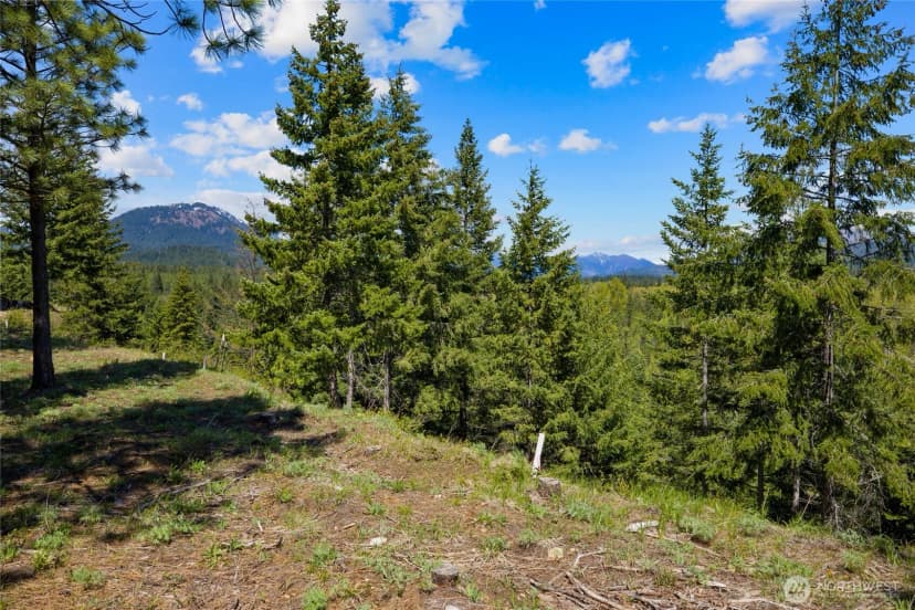 Property photo for 45 Gold Leaf Lane, Cle Elum photo 11