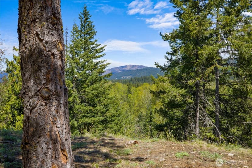 Property photo for 45 Gold Leaf Lane, Cle Elum photo 7