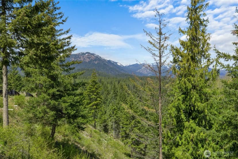Property photo for 45 Gold Leaf Lane, Cle Elum photo 6