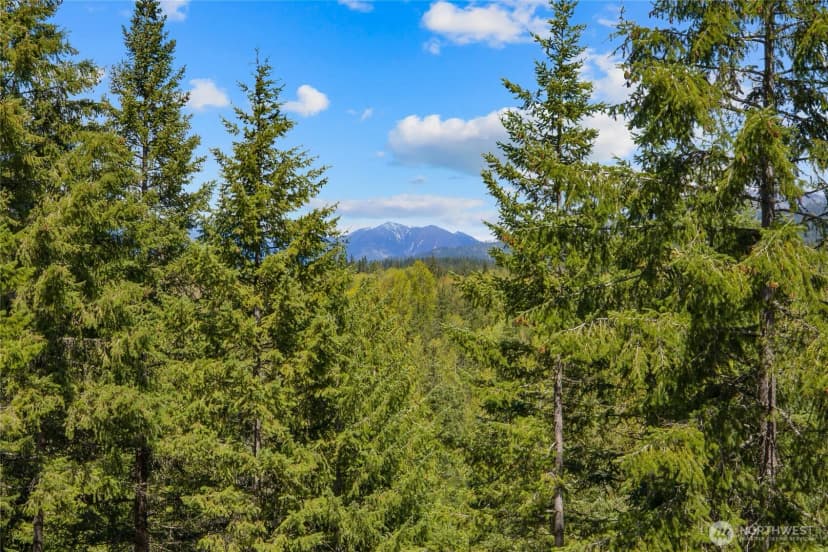 Property photo for 45 Gold Leaf Lane, Cle Elum photo 12