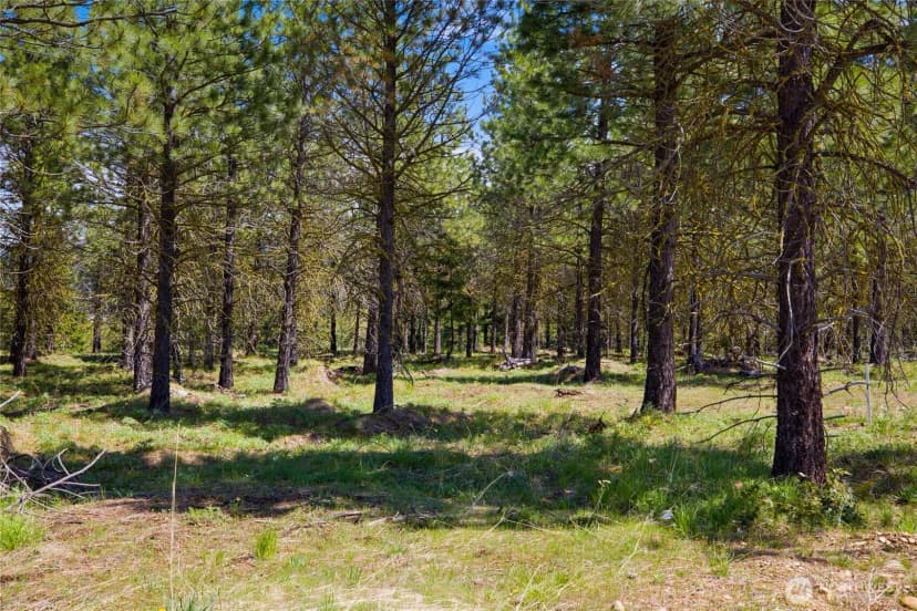 Property photo for 45 Gold Leaf Lane, Cle Elum photo 9