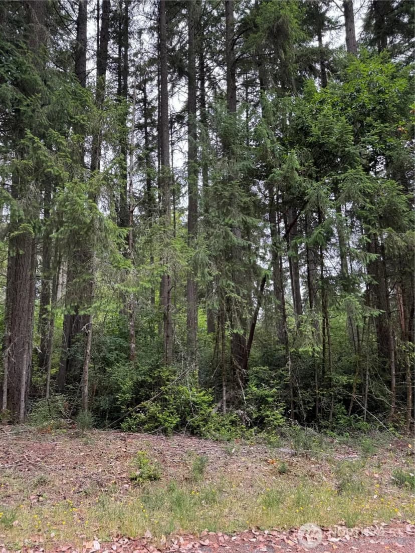 Property photo for 12216 Wapato Road, Anderson Island
