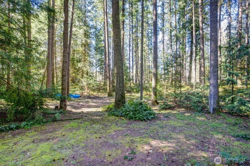 Property photo for 870 238th Avenue Ne, Sammamish photo 5