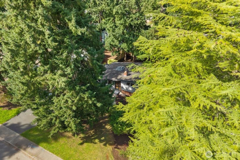 Property photo for 14240 Lake Hills Boulevard, Bellevue photo 37