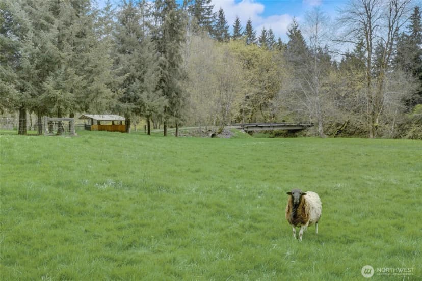 Property photo for 1319 Winlock Vader Road #19, Winlock photo 30