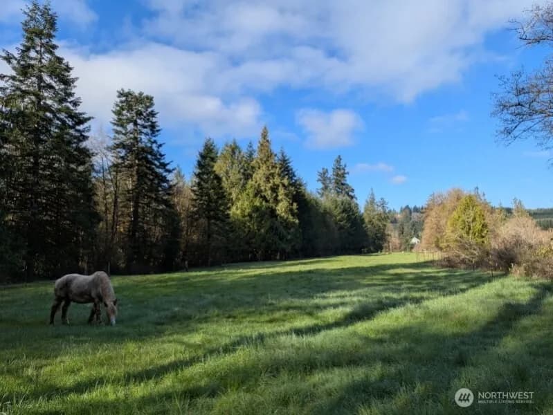 Property photo for 1319 Winlock Vader Road #19, Winlock photo 17