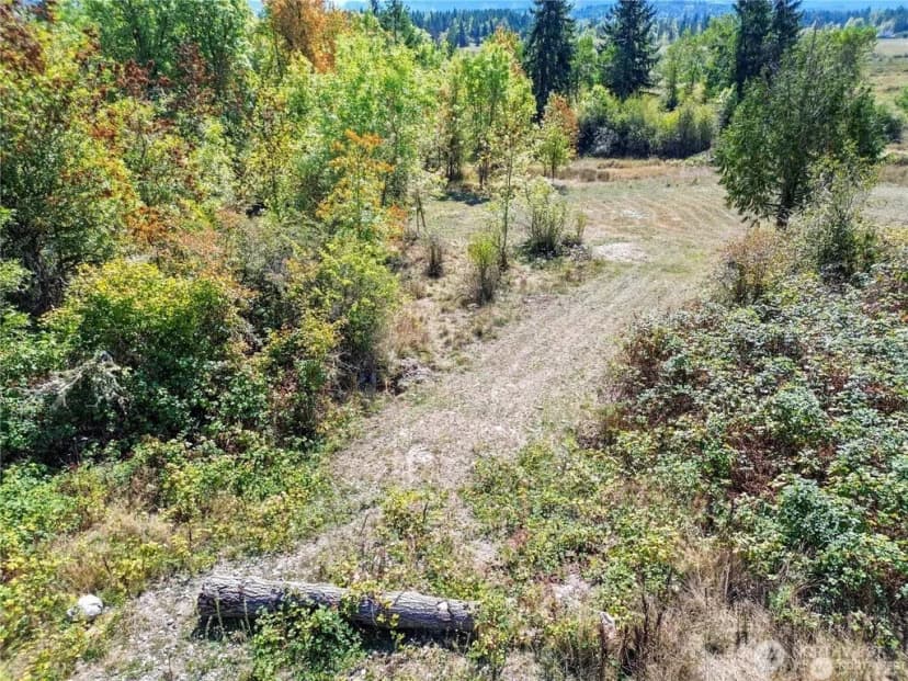 Property photo for 40325 Dean Kreger Road E, Eatonville photo 4