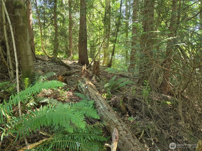 Property photo for 100 210th Avenue Ne, Sammamish photo 18