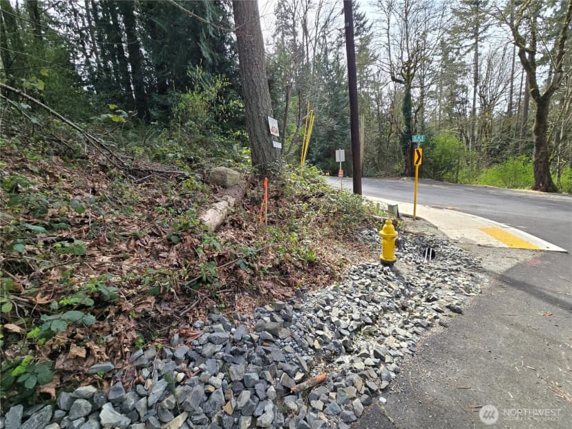 Property photo for 100 210th Avenue Ne, Sammamish photo 5