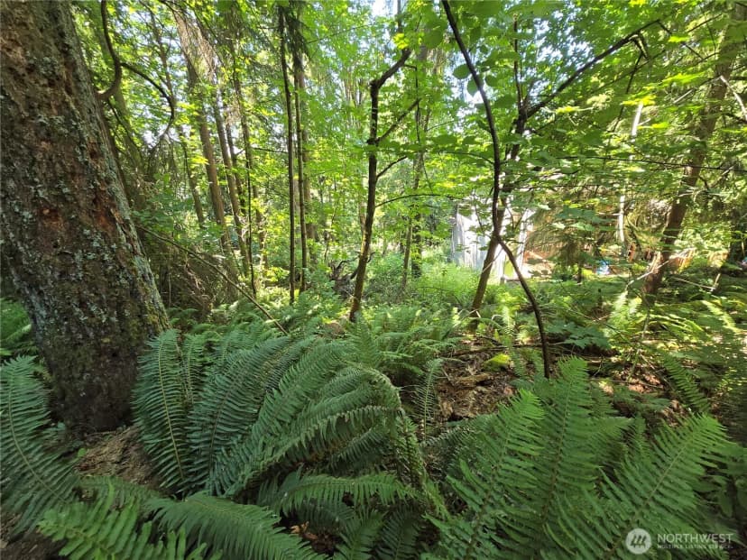 Property photo for 100 210th Avenue Ne, Sammamish photo 14