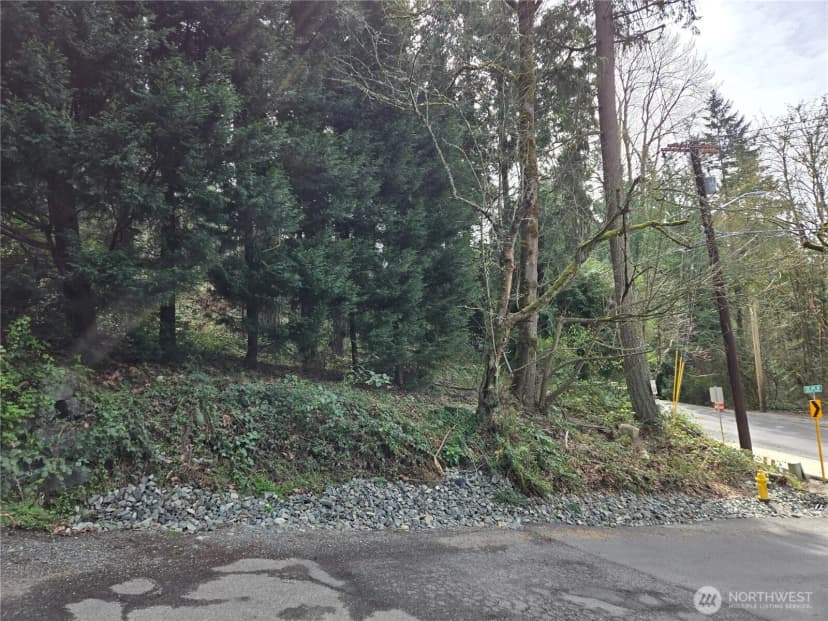 Property photo for 100 210th Avenue Ne, Sammamish photo 3