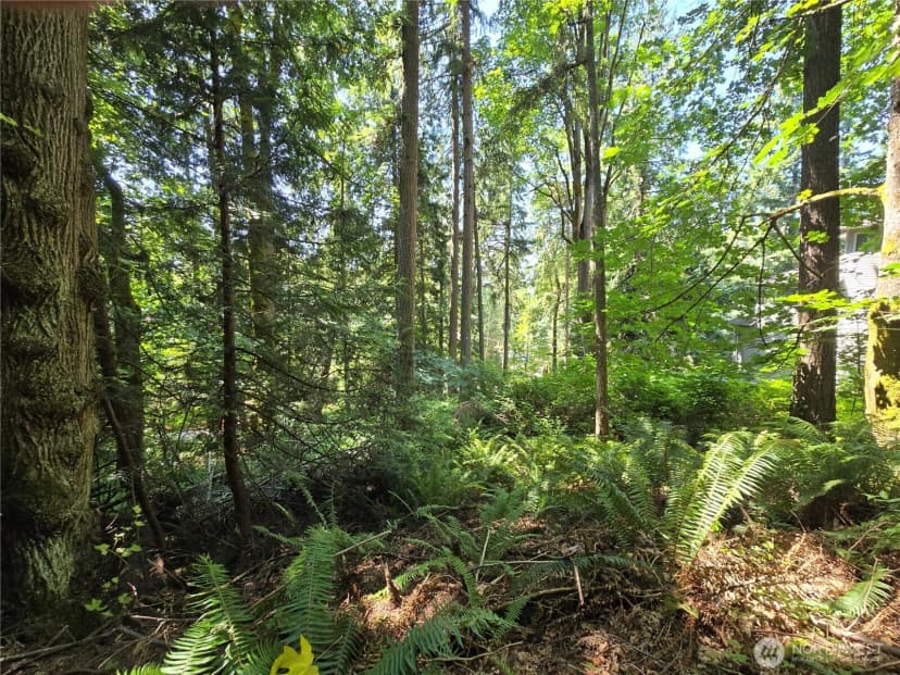 Property photo for 100 210th Avenue Ne, Sammamish photo 11