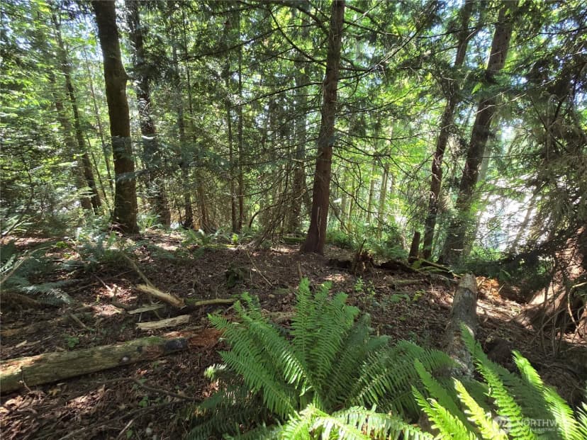 Property photo for 100 210th Avenue Ne, Sammamish photo 22