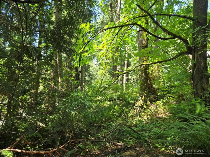 Property photo for 100 210th Avenue Ne, Sammamish photo 9
