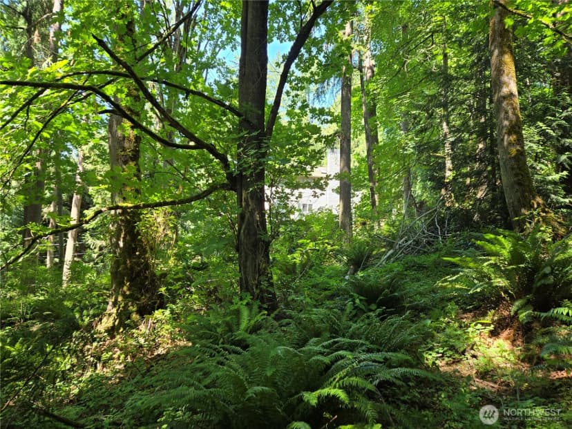 Property photo for 100 210th Avenue Ne, Sammamish photo 8