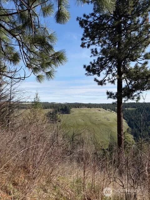 Property photo for 6885 Lewis Peak Road, Waitsburg photo 3