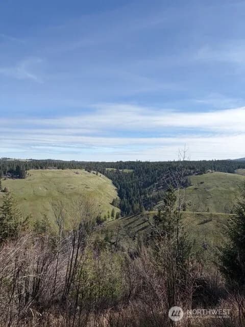 Property photo for 6885 Lewis Peak Road, Waitsburg photo 2