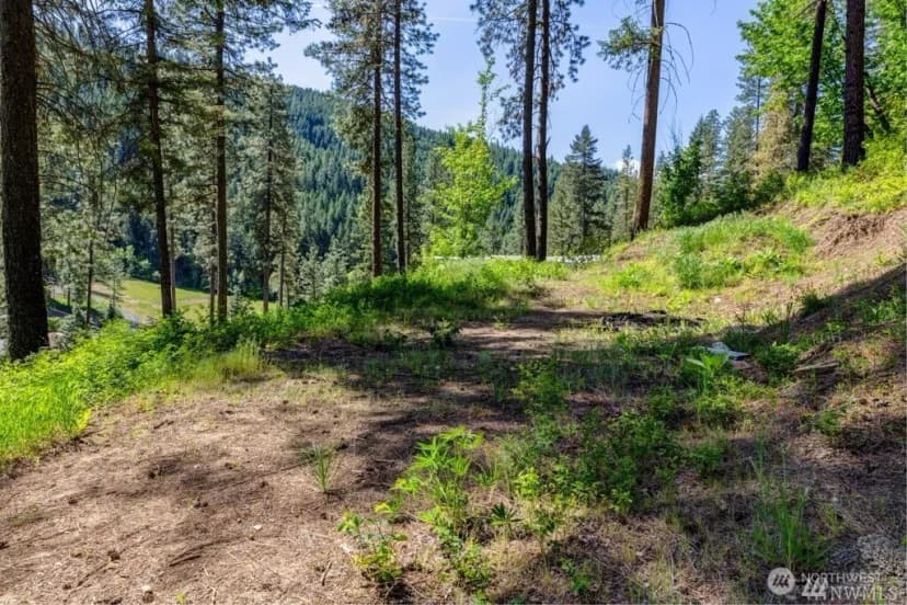 Property photo for 11200 Eagle Creek Road, Leavenworth photo 8