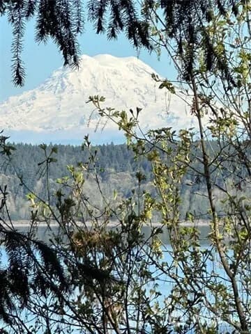 Property photo for 10911 Seaview Drive, Anderson Island