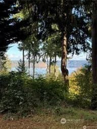 Property photo for 10911 Seaview Drive, Anderson Island photo 3