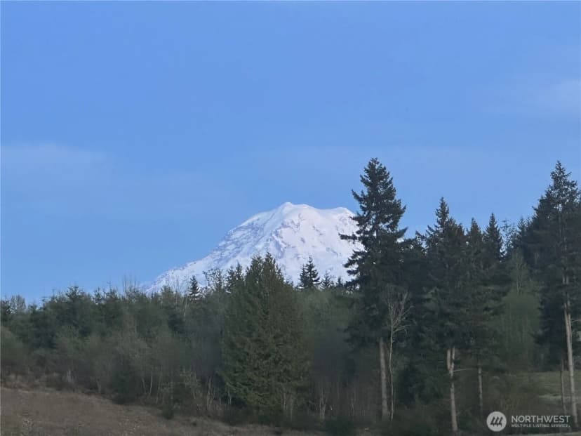 Property photo for 15528 174th Avenue Ct E, Bonney Lake photo 30