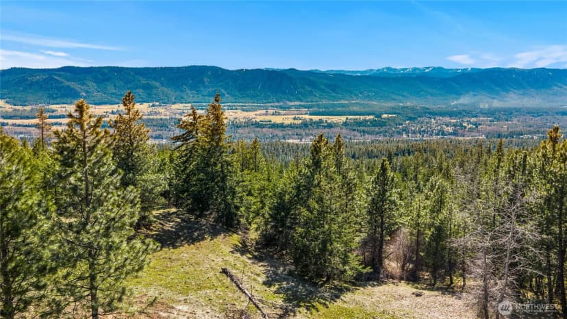 Property photo for 80 Forest Ridge (lot 80) Drive, Cle Elum photo 25