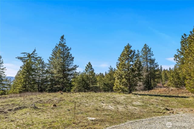 Property photo for 80 Forest Ridge (lot 80) Drive, Cle Elum photo 4