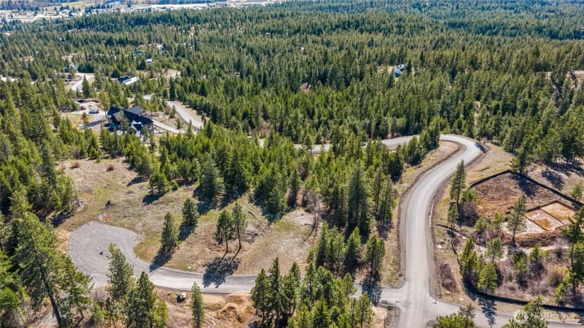 Property photo for 80 Forest Ridge (lot 80) Drive, Cle Elum photo 11