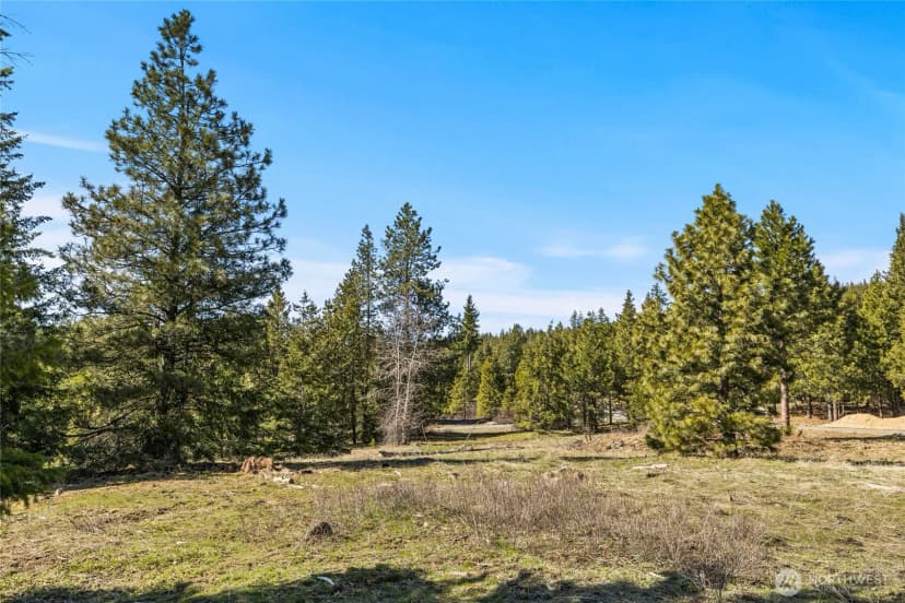Property photo for 80 Forest Ridge (lot 80) Drive, Cle Elum photo 5