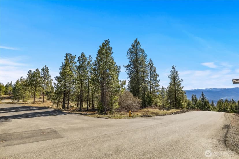 Property photo for 80 Forest Ridge (lot 80) Drive, Cle Elum photo 3