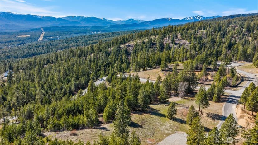 Property photo for 80 Forest Ridge (lot 80) Drive, Cle Elum photo 24