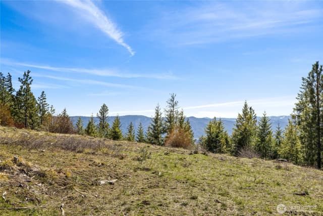 Property photo for 81 Forest Ridge (lot 81) Drive, Cle Elum photo 3