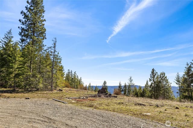 Property photo for 81 Forest Ridge (lot 81) Drive, Cle Elum photo 2